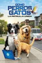 Imagen de Como perros y gatos: La patrulla unida - 2