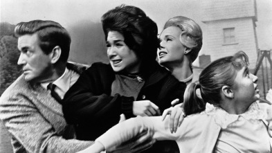 Imagen de Els ocells - 3