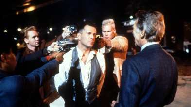 Imagen de El gran falcó - 3