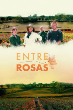 Imagen de Entre rosas - 2