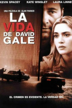 Imagen de La vida de David Gale - 2