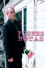 Imagen de Flors trencades - 2