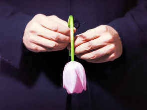 Imagen de ¿De qué planeta vienes? - 1