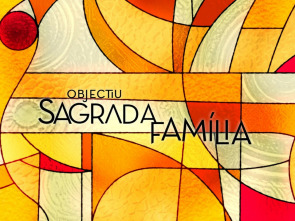 Imagen de Objectiu: Sagrada...: La Sagrada Família té per endavant un any històric - 1