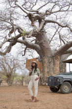 África de safari - Un recibimiento digno de un rey