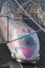 Shinkansen: el tren más puntual del mundo