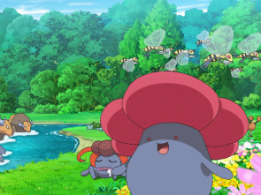 Imagen de Pokémon - 1