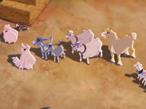 Imagen de Cher Ami - 1