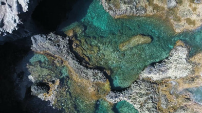 Imagen de Viajeros Cuatro: Tanzania y Zanzíbar - 4