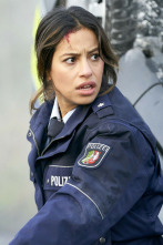 Imagen de Alerta Cobra (T25): Ep.6 En libertad condicional - 2