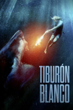 Imagen de Tiburón blanco - 7