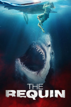 Imagen de Sharkwater - 3