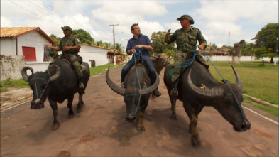 Imagen de Trens singulars: Brasil - 3