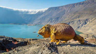 Imagen de Un planeta perfecto: Los volcanes - 3
