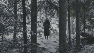 Imagen de Sense ficció: Encara hi ha algú al bosc - 3