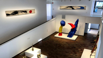 Imagen de Un passeig pels museus: Un passeig pel Miró - 3