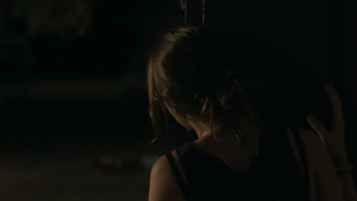 Imagen de Les Perseides - 3