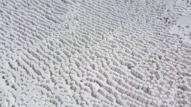 Imagen de Els secrets de les...: La calcària - 3