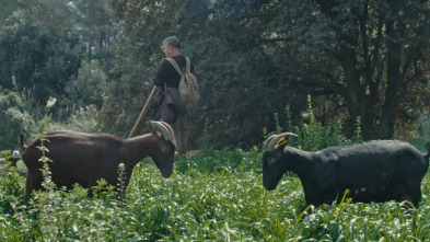 Imagen de El documental: Fauna - 3