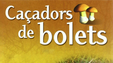 Imagen de Caçadors de bolets (T9): Ep.1 - 3