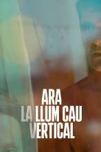Imagen de Ara la llum cau vertical - 2