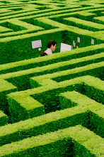 Imagen de After work - 2