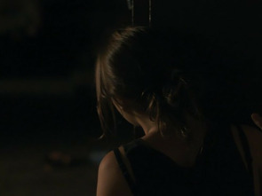 Imagen de Les Perseides - 1