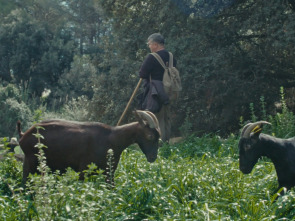 Imagen de El documental: Fauna - 1