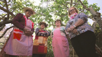 Imagen de Lolas - 3