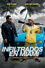 Imagen de Infiltrados en Miami - 2