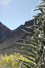 Imagen de Pequeño gran volcán - 2