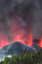 Imagen de Después del Volcán: las voces y los ecos - 2