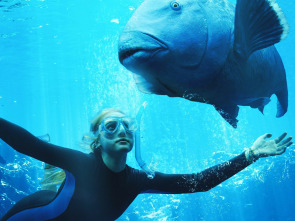 Imagen de Nadando en libertad - 1