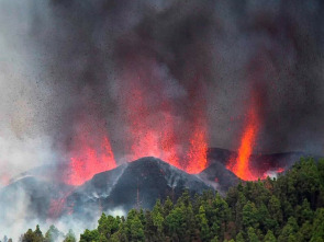 Imagen de Después del Volcán: las voces y los ecos - 1