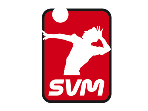 Superliga masculina de voleibol