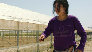 Imagen de La tierra de Amira - 3