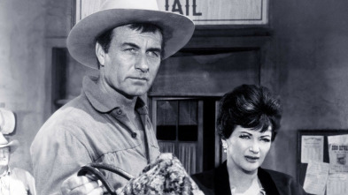 Imagen de Pistolas hostiles - 3