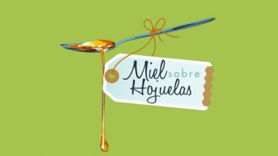 Imagen de Miel sobre hojuelas - 3