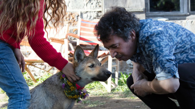 Imagen de El secreto de Vicky - 3