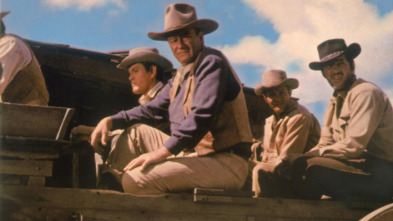 Imagen de Los cuatro hijos de Katie Elder - 3