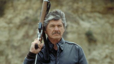 Imagen de Yo soy la justicia II - 3