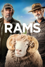 Imagen de Rams - 2