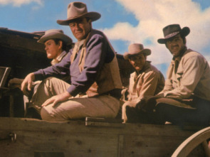 Imagen de Los cuatro hijos de Katie Elder - 1