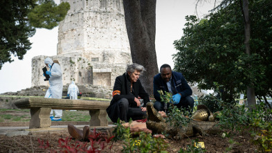 Imagen de Asesinato en Nimes - 5