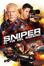 Imagen de Sniper: El fin del asesino - 2