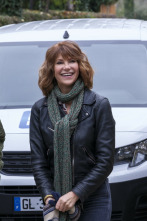 Imagen de Investigaciones paralelas (T1) - 4