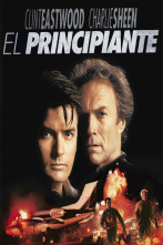 Imagen de El principiante - 7