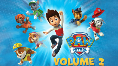 Imagen de La patrulla canina Single Story (T2) - 3