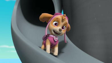 Imagen de La patrulla canina single story (T10) - 3
