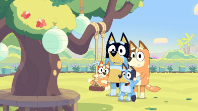 Imagen de Bluey Cortos (T1) - 3